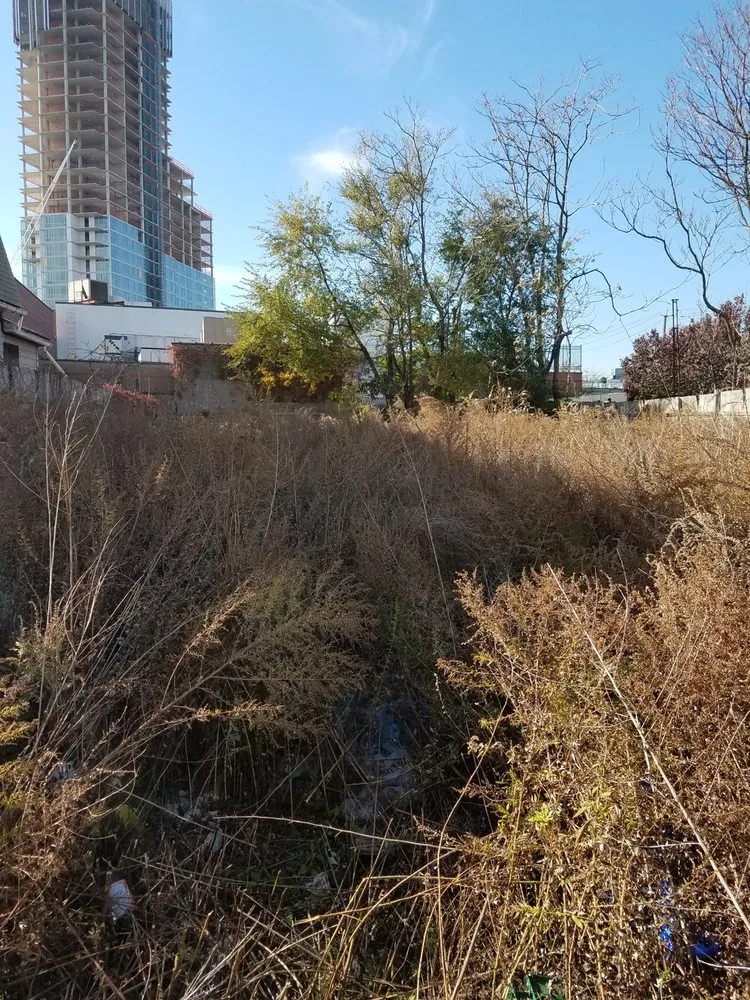 Reliable landscaping services experts serving Queens, NY - Tennant Lawn Care