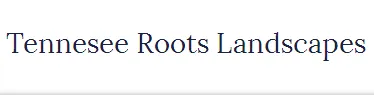Professional lawn care service in Knoxville, TN by Tennesee Roots Landscapes