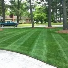 Custom lawn mowing service in Cookeville, TN - Tennessee Green Landscape and Tree Service