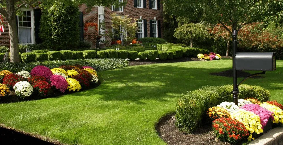 Top-rated landscape installation in Cookeville, TN - Tennessee Green Landscape and Tree Service