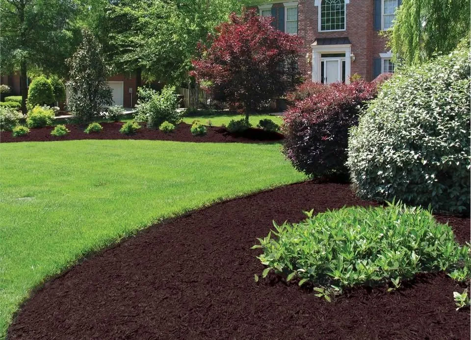 Affordable landscaping services experts serving Franklin, TN - Tennessee Landscape