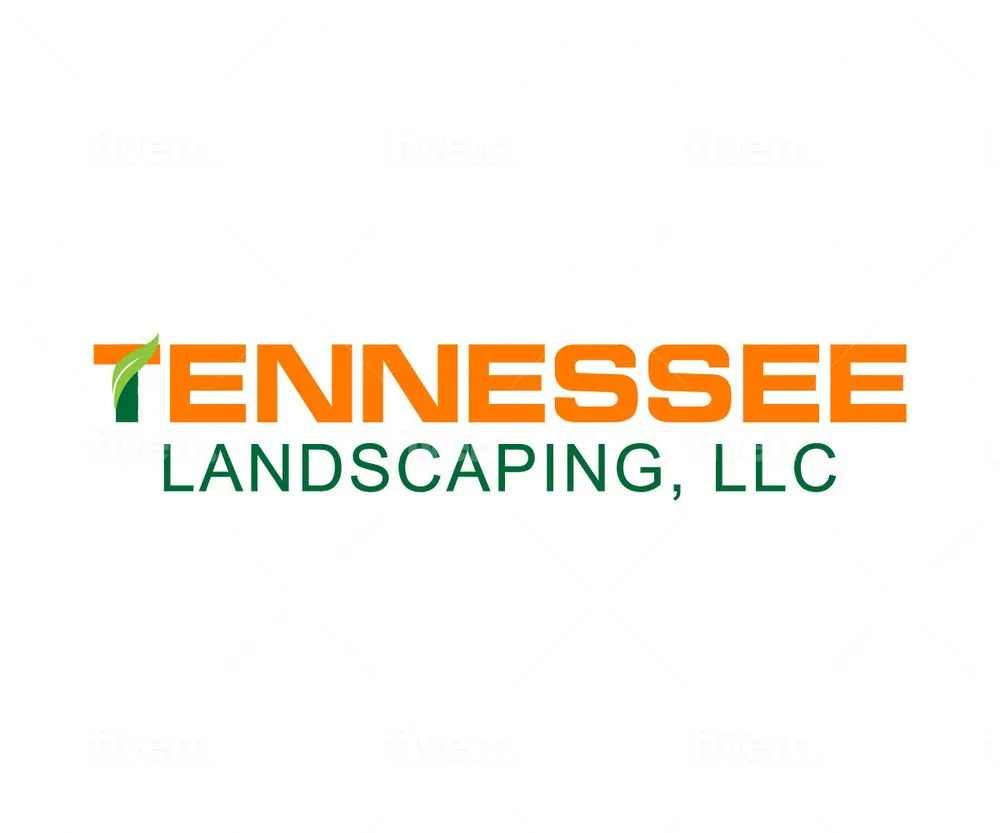 Trusted yard cleanup service for homes across Knoxville, TN - Tennessee Landscaping