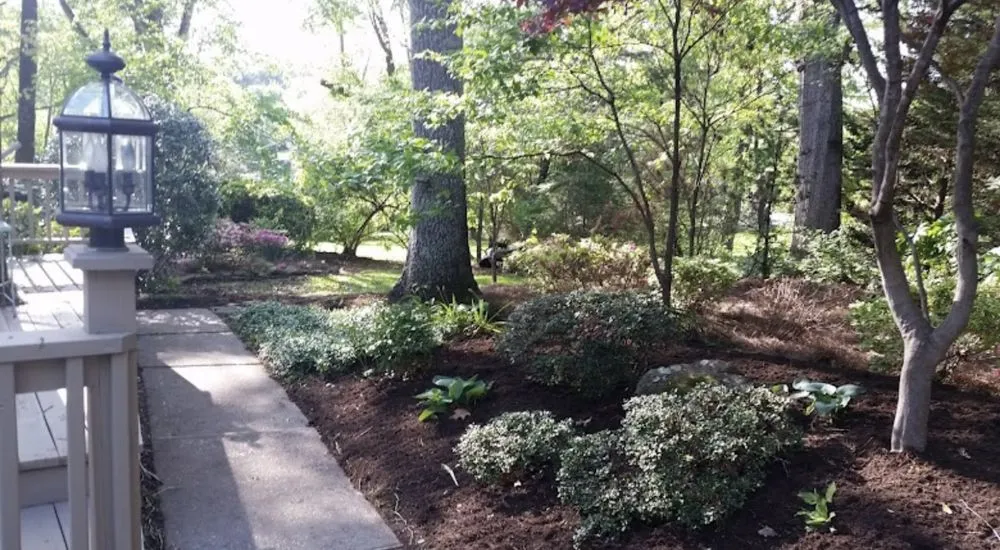 Top-rated lawn care service for residential properties in Oliver Springs, TN by Tennessee Lawn Care & Nursery