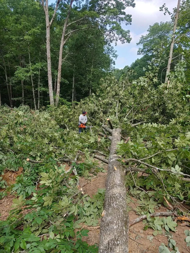 Expert yard maintenance in Estill Springs, TN by Tennessee Property Enhancers