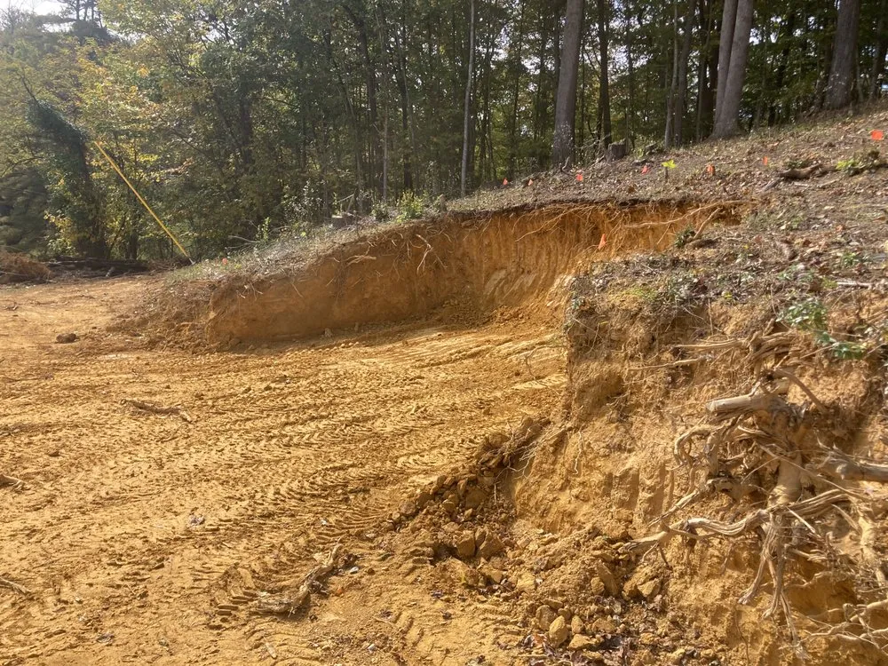 Professional yard maintenance for residential properties across Afton, TN - Tennessee Road Warrior