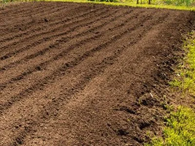 Trusted landscape design for residential properties across Afton, TN - Tennessee Road Warrior