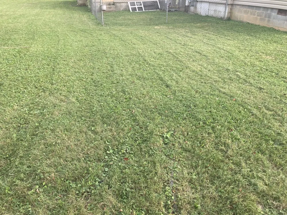 Trusted landscaping services experts serving Loudon, TN - Tennessee Roots Lawn Care