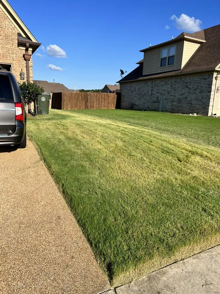 Reliable lawn care service experts serving Memphis, TN - Tennessee Sharpest Lawns