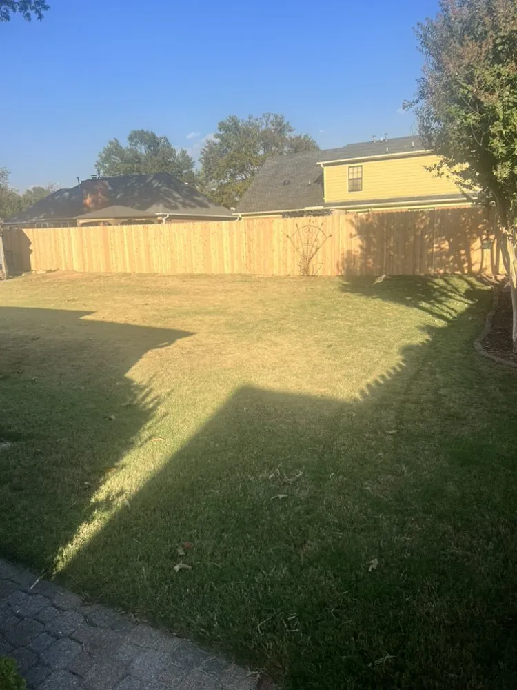 Expert yard cleanup service in Memphis, TN by Tennessee Sharpest Lawns