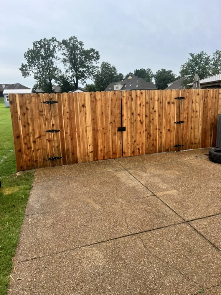 Professional yard cleanup service in Memphis, TN - Tennessee Sharpest Lawns