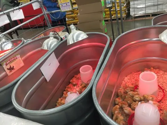 Tennessee Tractor LLC