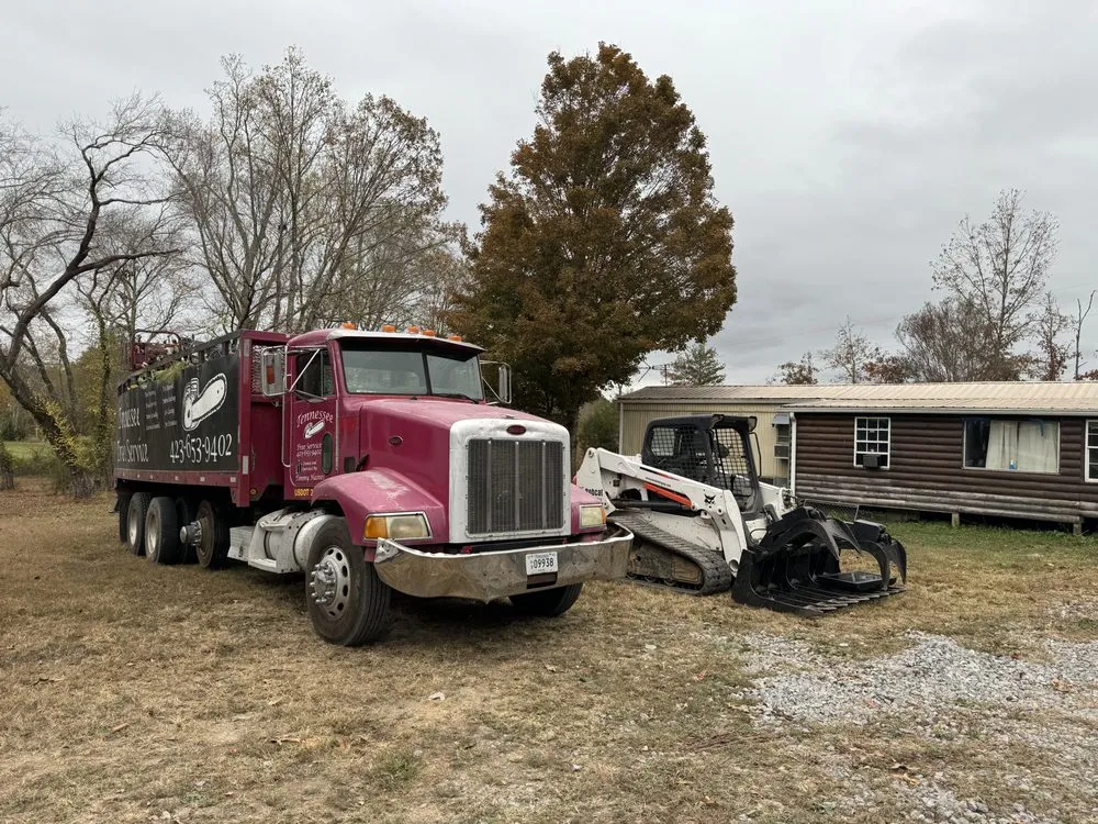 Expert yard cleanup service with custom design across Cleveland, TN - Tennessee Tree Service