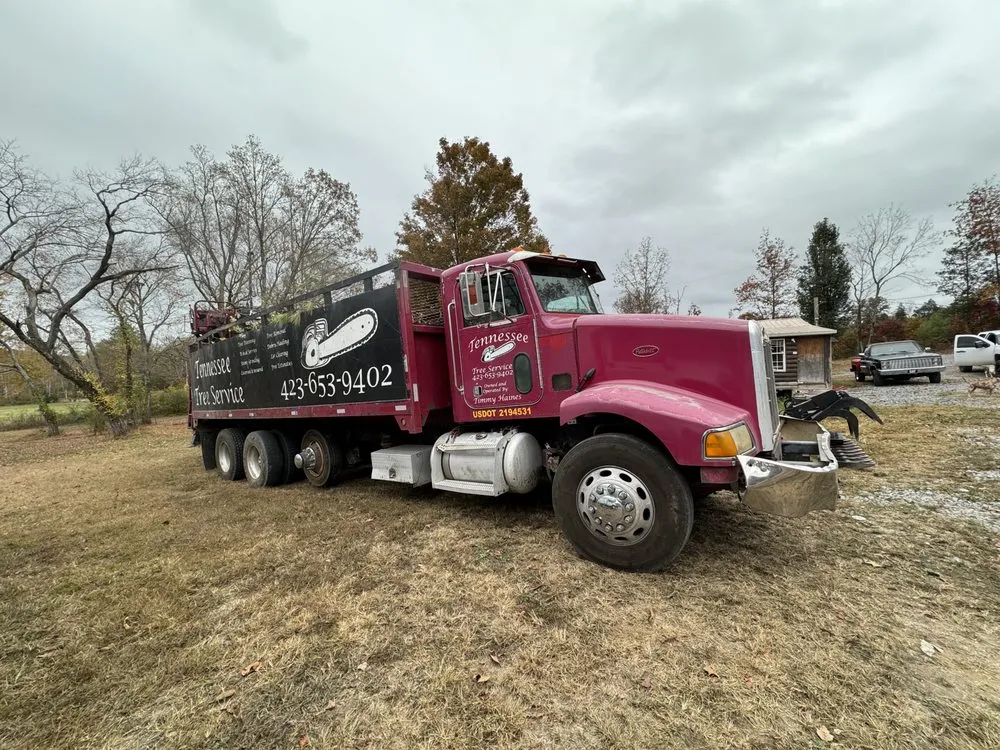 Expert lawn mowing service near you in Cleveland, TN by Tennessee Tree Service