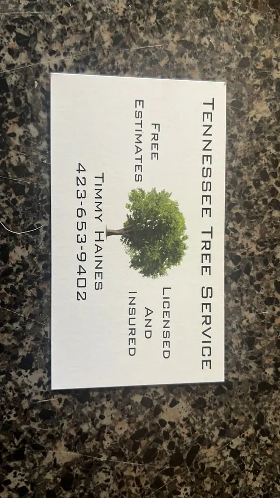 Affordable lawn mowing service experts serving Cleveland, TN - Tennessee Tree Service