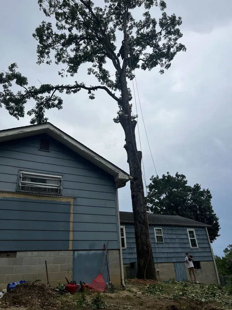 Top-rated lawn mowing service experts serving Cleveland, TN - Tennessee Tree Service