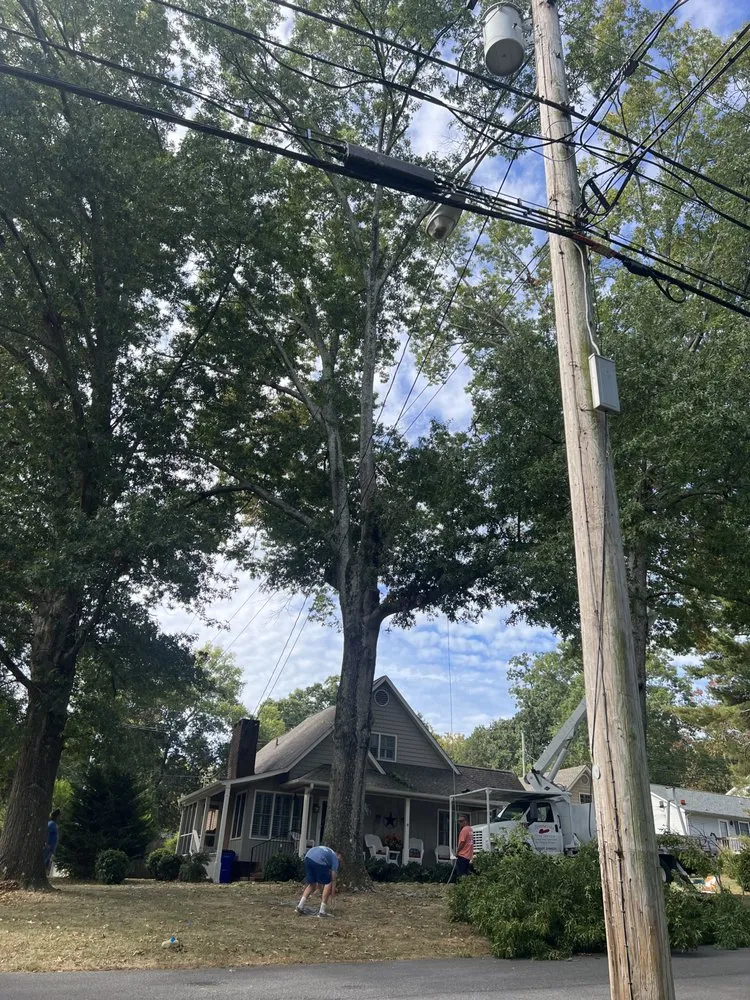 Custom yard maintenance in Cleveland, TN - Tennessee Tree Service