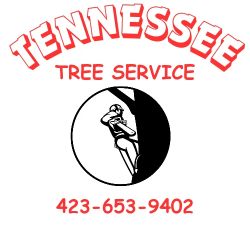 Local landscape installation for outdoor upgrades across Cleveland, TN - Tennessee Tree Service