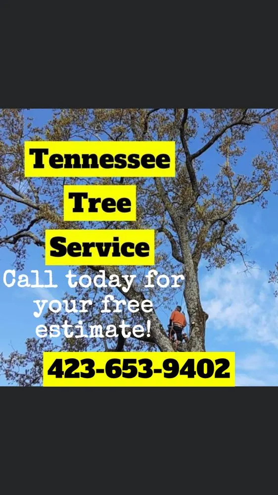 Local lawn care service in Cleveland, TN by Tennessee Tree Service