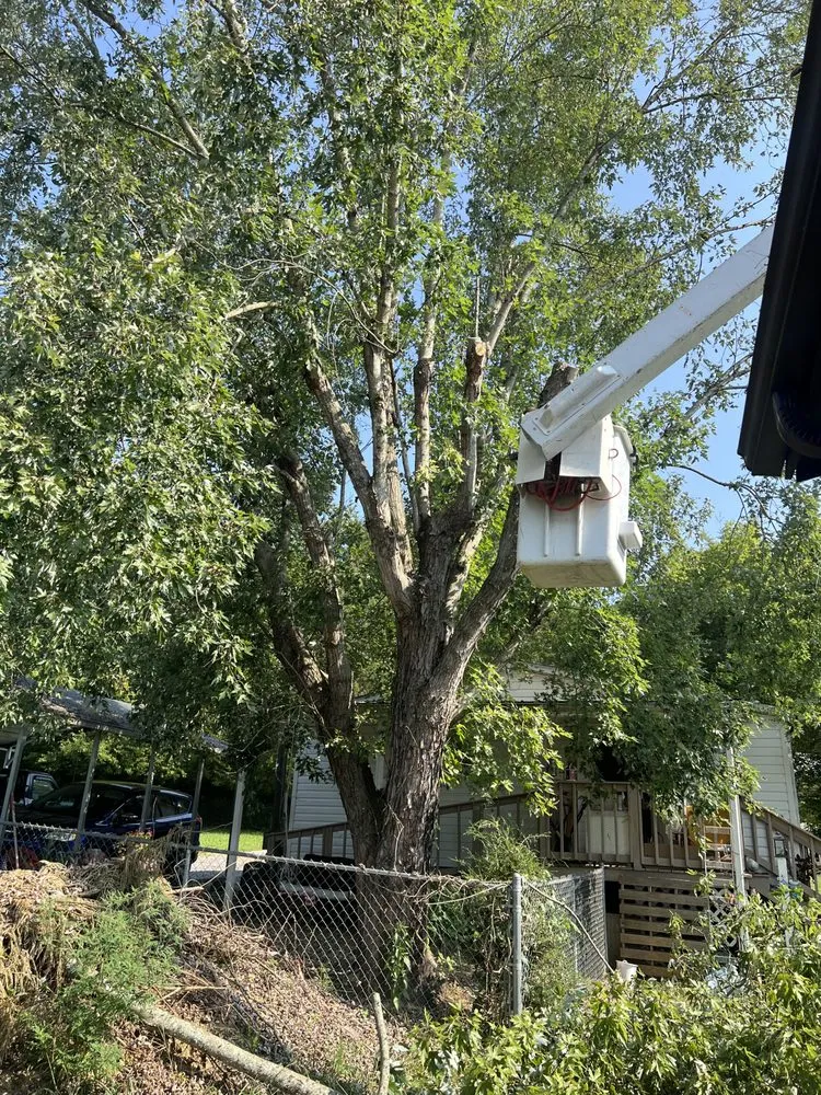 Top-rated garden landscaping in Cleveland, TN by Tennessee Tree Service