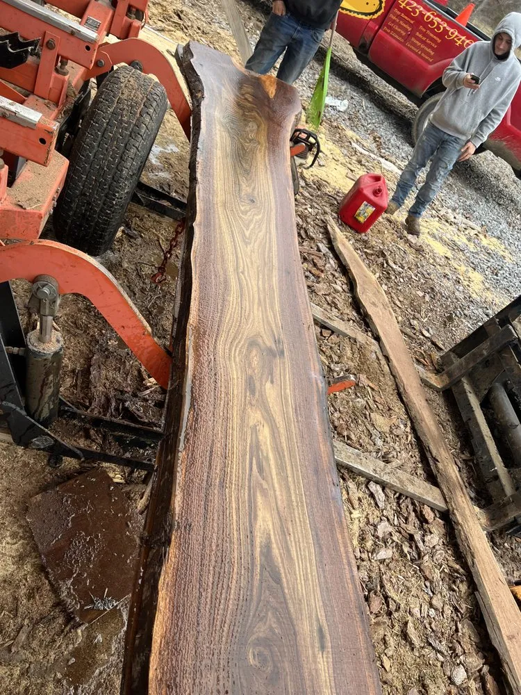 Expert yard maintenance for homes across Cleveland, TN - Tennessee Tree Service