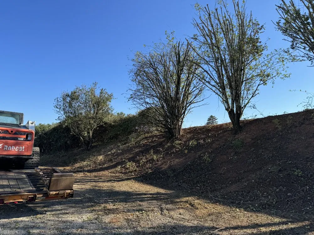 Affordable yard maintenance for residential properties in Cleveland, TN by Tennessee Tree Service