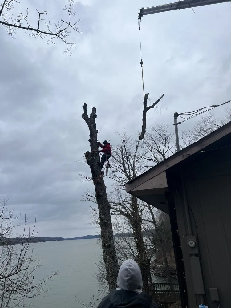 Custom garden landscaping experts serving Cleveland, TN - Tennessee Tree Service