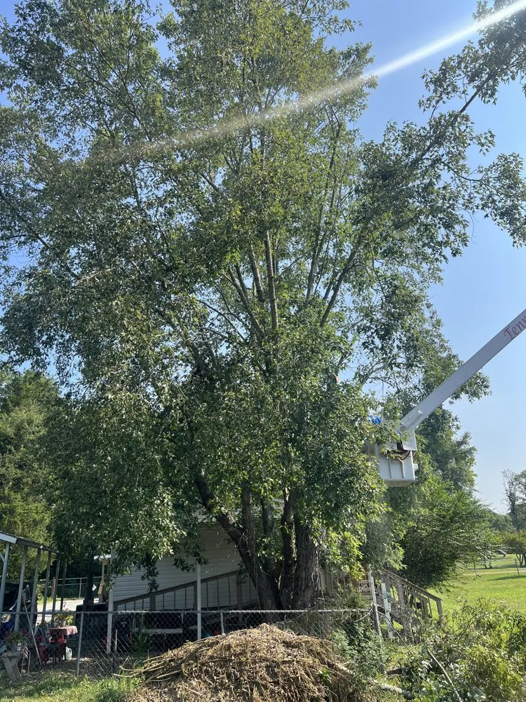 Top-rated residential landscaping with custom design across Cleveland, TN - Tennessee Tree Service