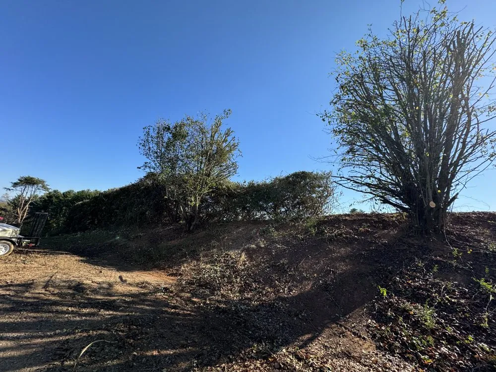 Affordable landscaping services for homes across Cleveland, TN - Tennessee Tree Service