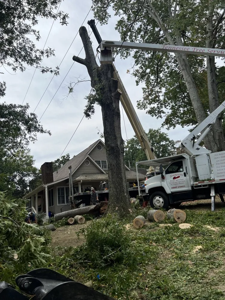 Local lawn mowing service in Cleveland, TN - Tennessee Tree Service