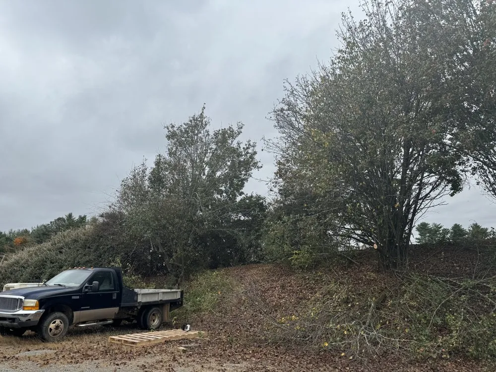 Expert outdoor landscaping in Cleveland, TN by Tennessee Tree Service