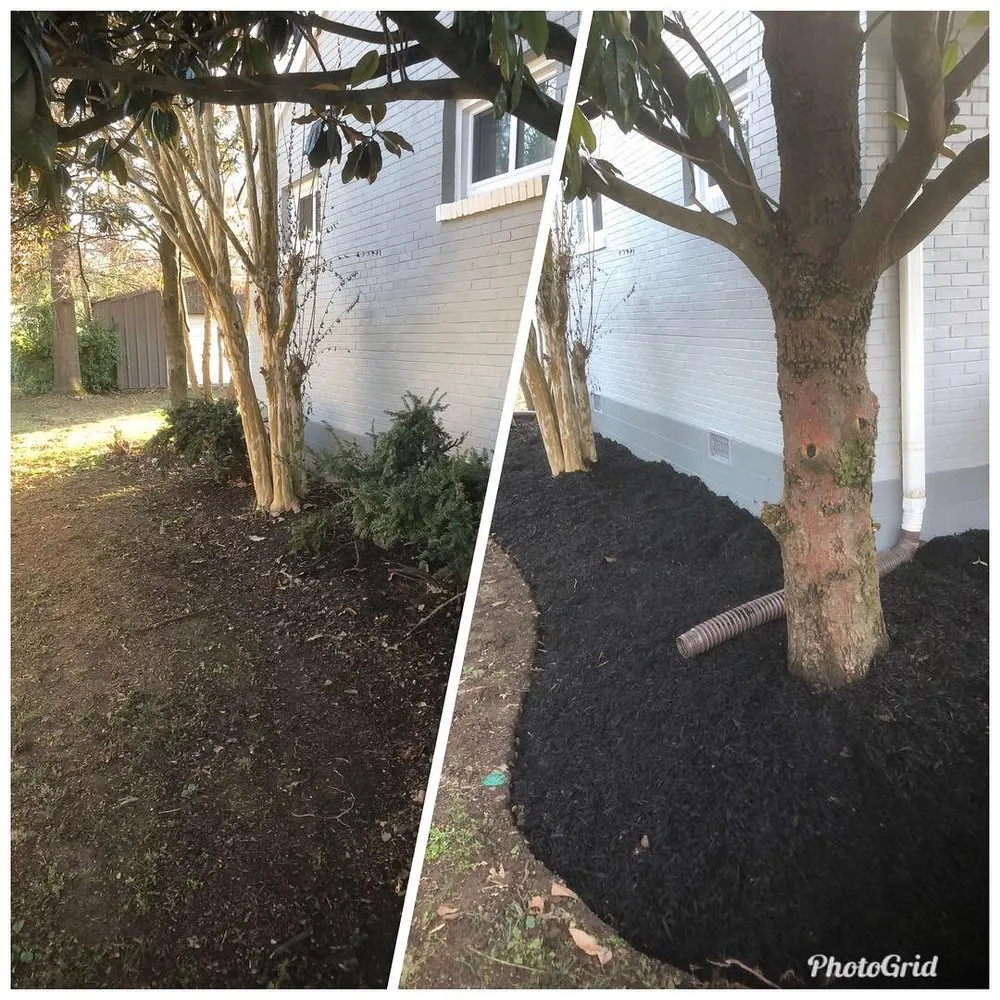 Expert garden landscaping experts serving Hendersonville, TN - Tennessee Turf Pros