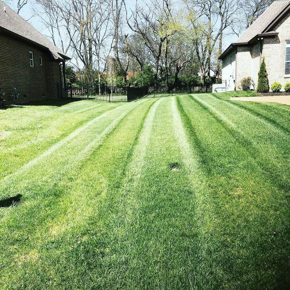 Custom lawn care service for beautiful yards across Hendersonville, TN - Tennessee Turf Pros