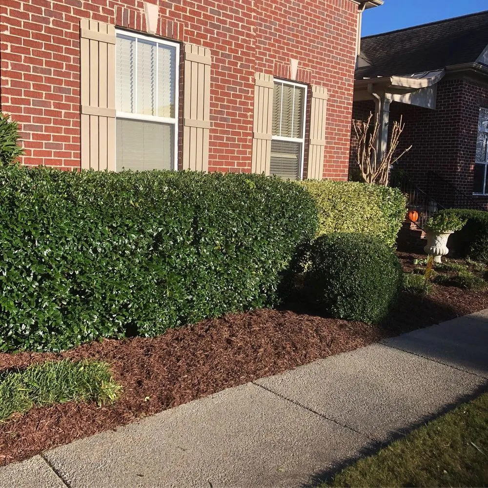 Reliable lawn care service in Hendersonville, TN by Tennessee Turf Pros