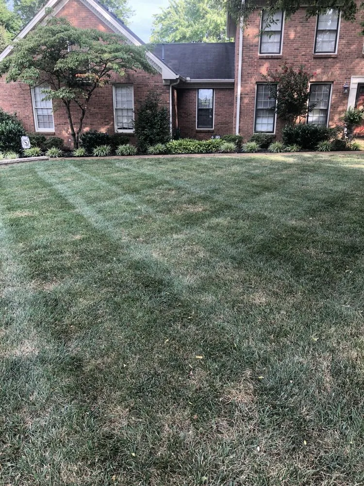 Professional outdoor landscaping in Hendersonville, TN - Tennessee Turf Pros