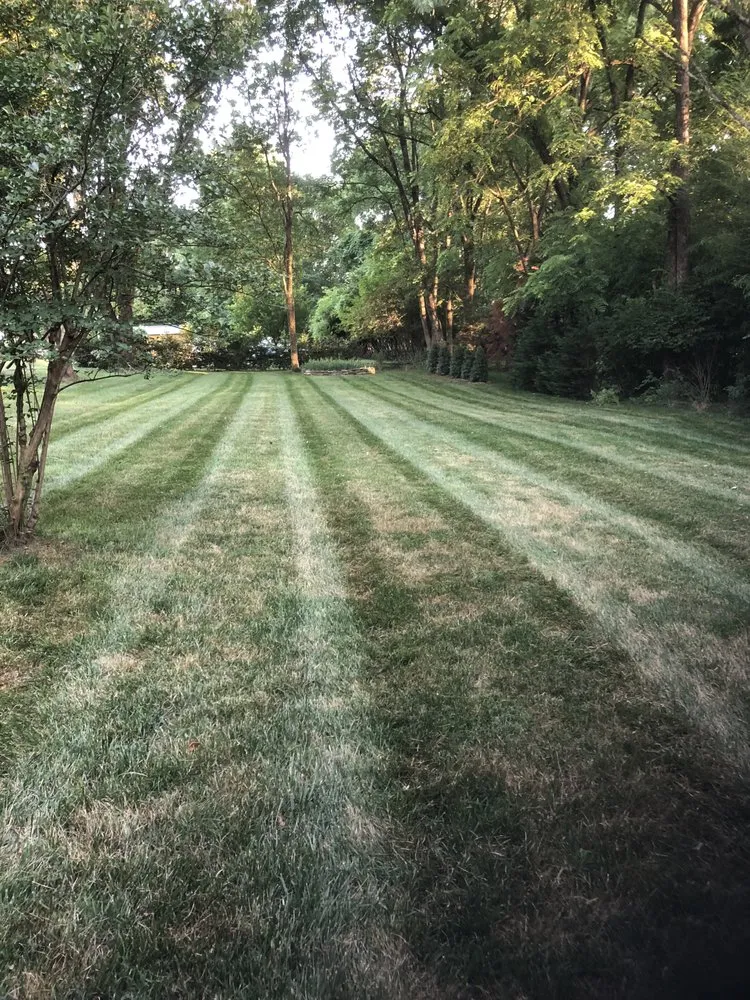Top-rated landscape installation in Hendersonville, TN by Tennessee Turf Pros