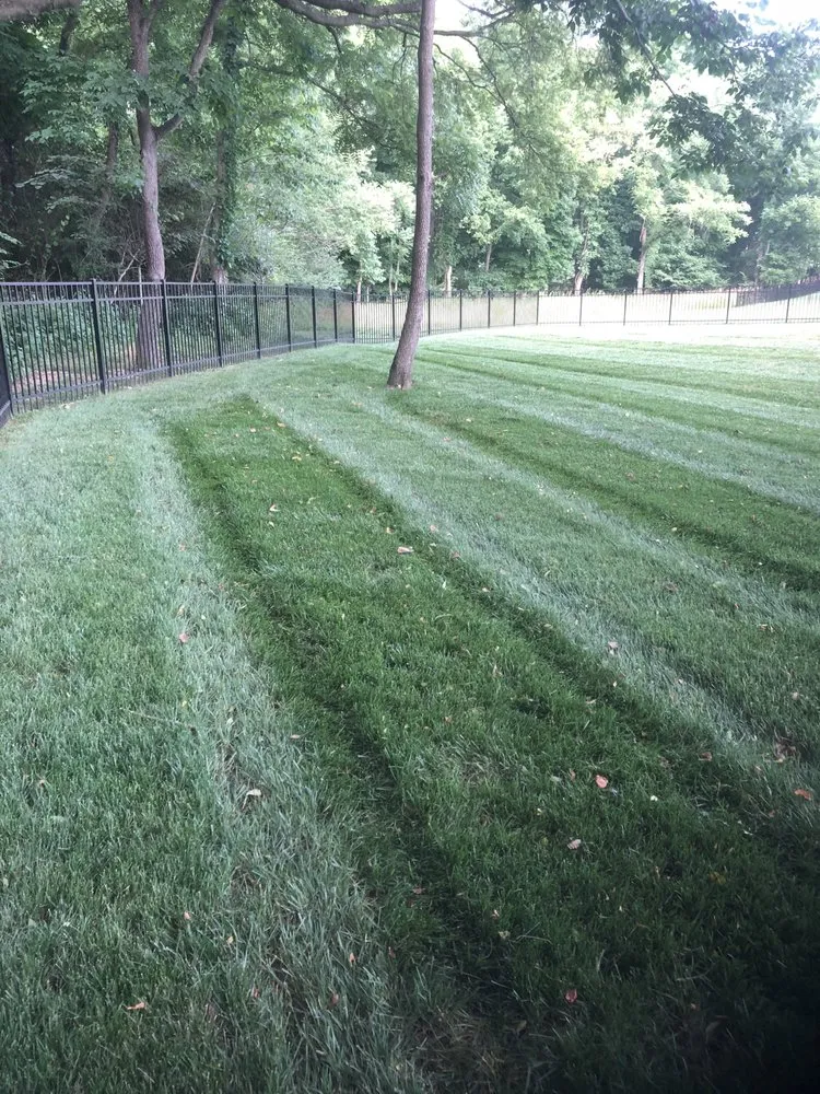 Professional garden landscaping experts serving Hendersonville, TN - Tennessee Turf Pros