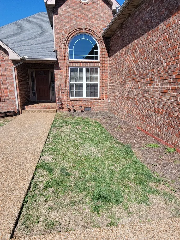 Affordable lawn mowing service experts serving Hendersonville, TN - Tennessee Turf Pros