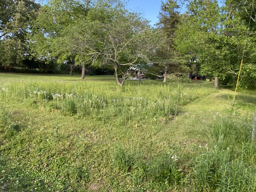 Expert yard maintenance in Town Creek, AL - Tennessee Valley Landscapers