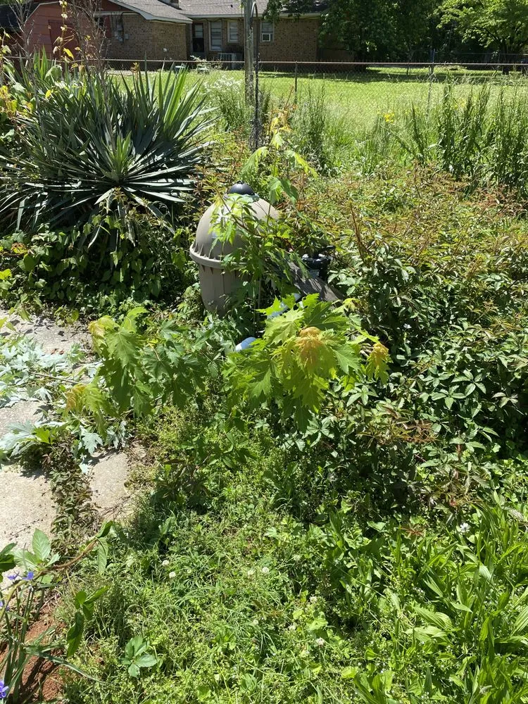 Custom lawn care service in Town Creek, AL by Tennessee Valley Landscapers