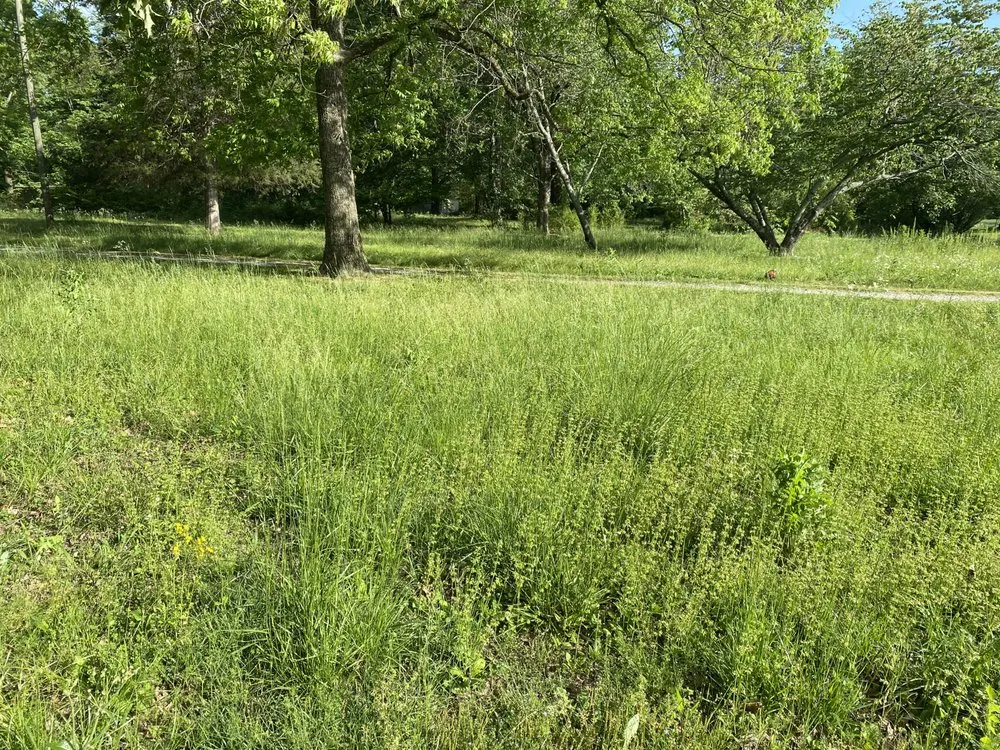 Expert garden landscaping for residential properties across Town Creek, AL - Tennessee Valley Landscapers