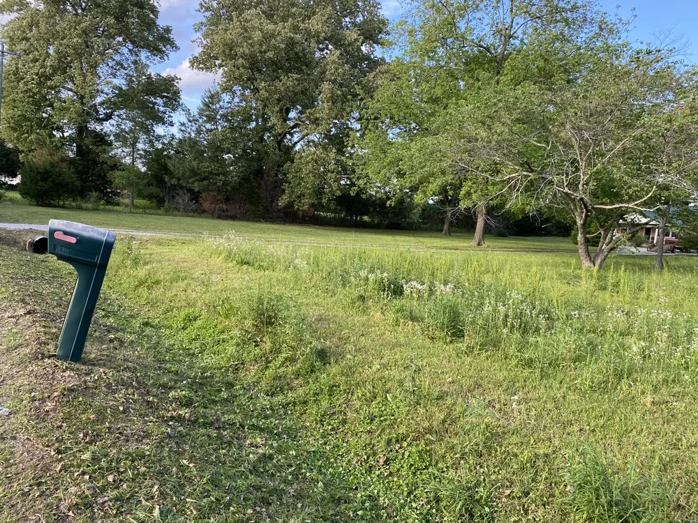 Top-rated landscaping services experts serving Town Creek, AL - Tennessee Valley Landscapers