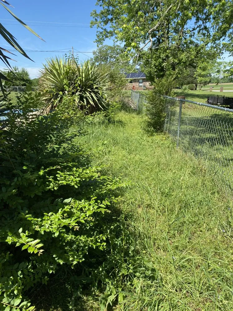 Professional landscape design in Town Creek, AL - Tennessee Valley Landscapers