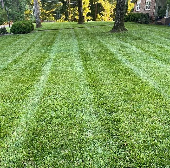 Custom lawn mowing service for beautiful yards across Waynesboro, TN - Tennessee Valley Landscapes