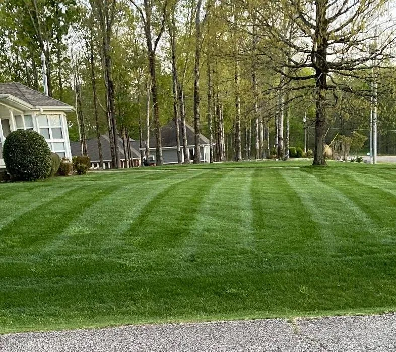 Affordable landscaping services experts serving Waynesboro, TN - Tennessee Valley Landscapes