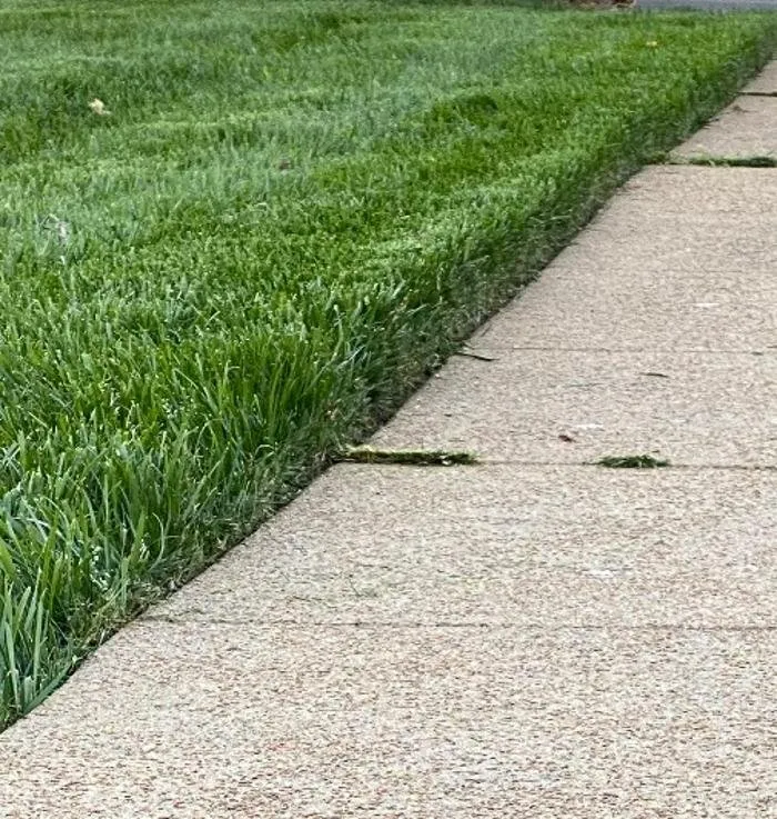 Top-rated yard cleanup service for homes in Waynesboro, TN by Tennessee Valley Landscapes