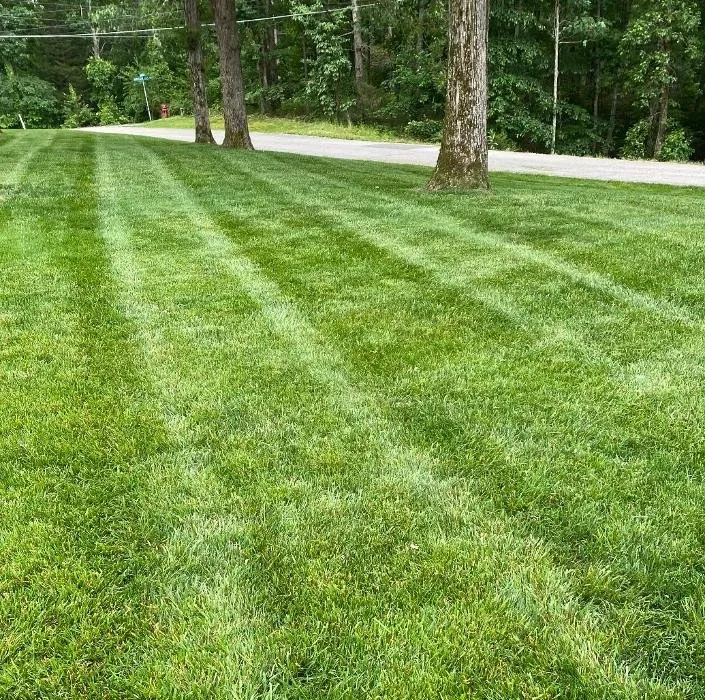 Reliable lawn care service with custom design across Waynesboro, TN - Tennessee Valley Landscapes