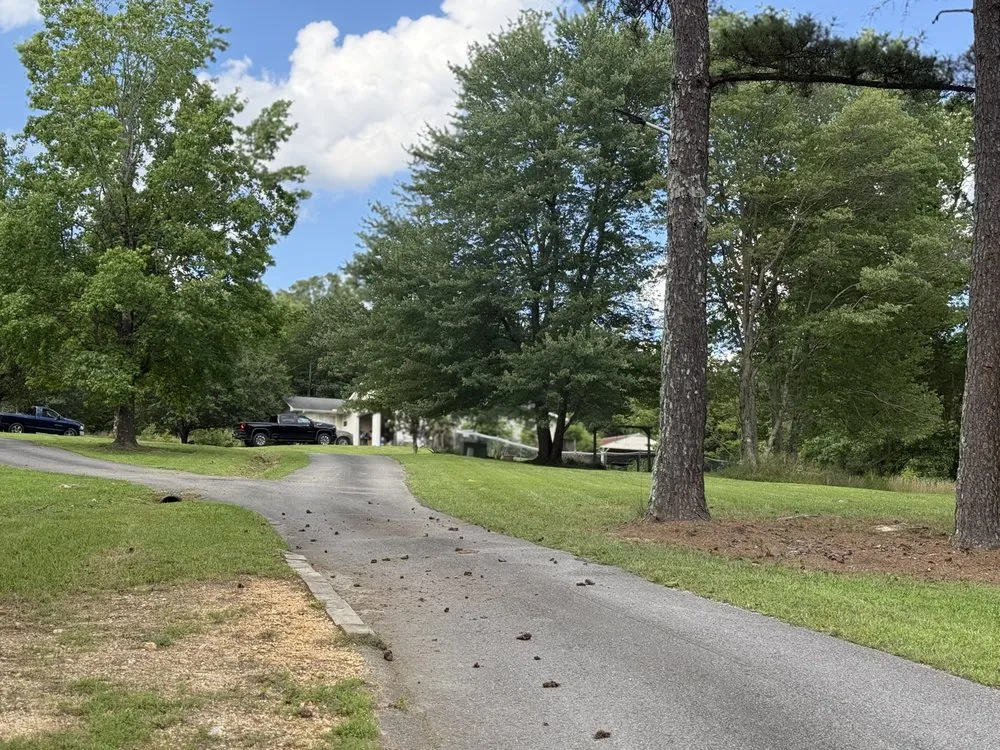 Local outdoor landscaping in Chattanooga, TN by Tennessee Valley Service Pros