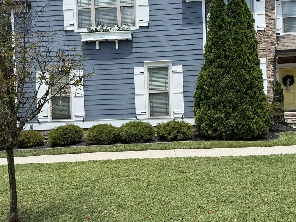 Reliable yard cleanup service in Chattanooga, TN by Tennessee Valley Service Pros