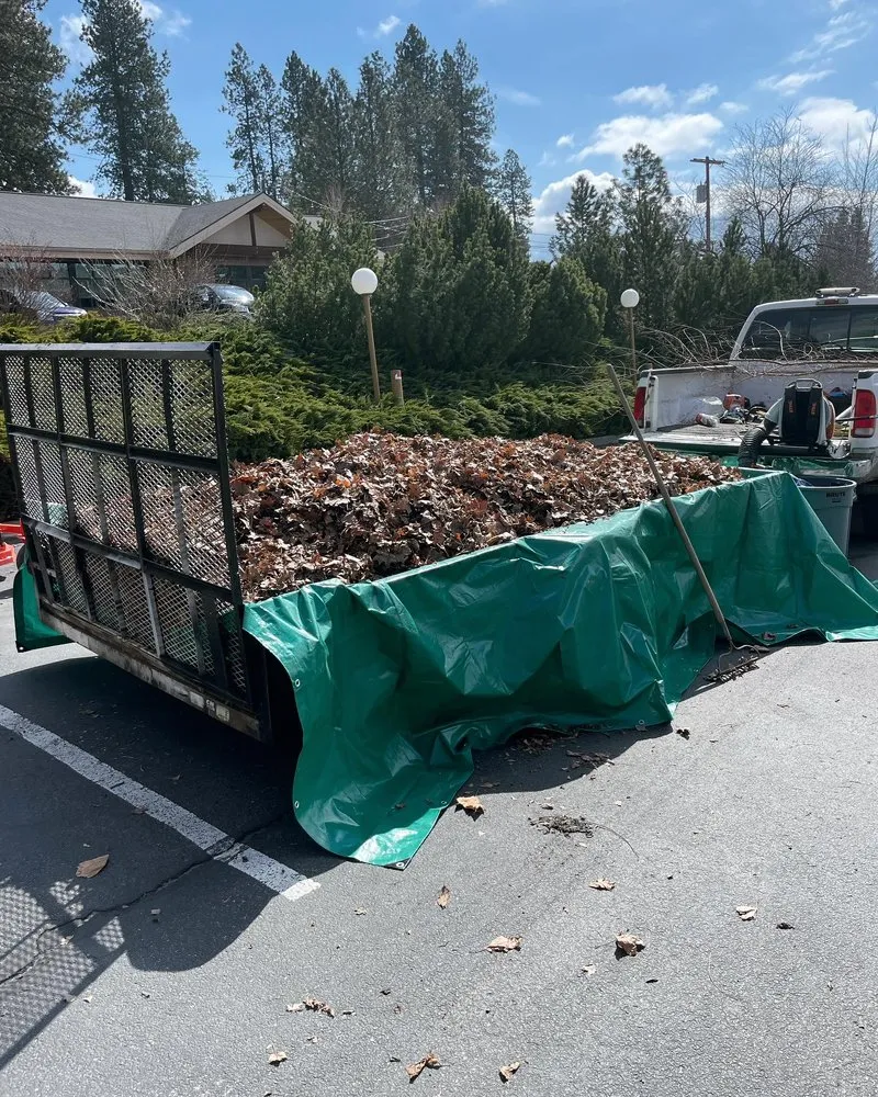 Expert landscape installation in Hayden, ID - Tenney Lawn and Land