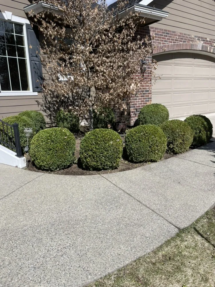 Local landscape design experts serving Hayden, ID - Tenney Lawn and Land